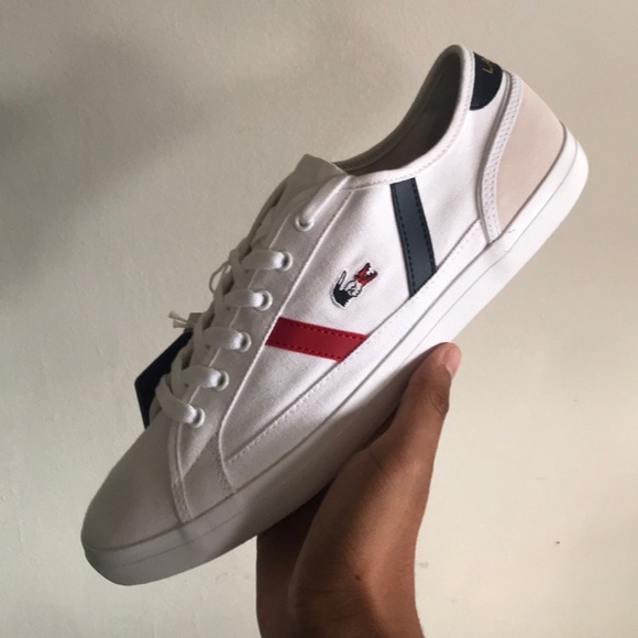 lacoste trainers size 14